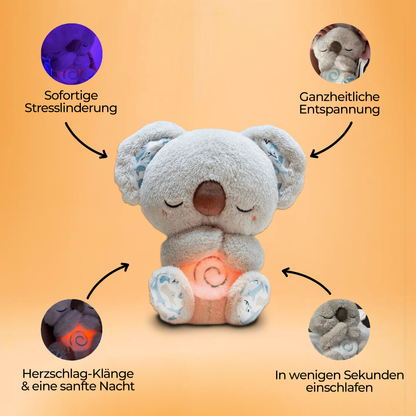 Dreaming Koala